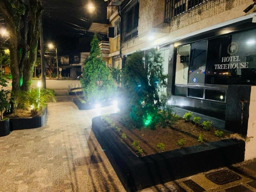 Hotel Tree House Medellín Extérieur photo
